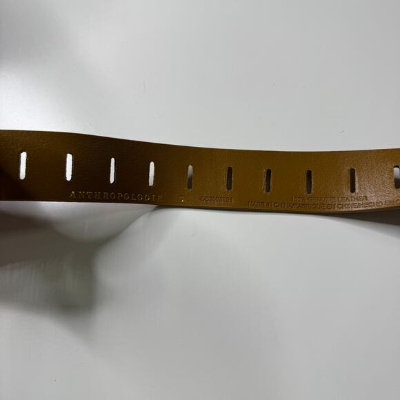 NWT ANTHROPOLOGIE Adjustable Notch Belt Blown Silver Honey Small